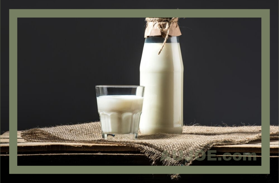 Why Drink Camel Milk