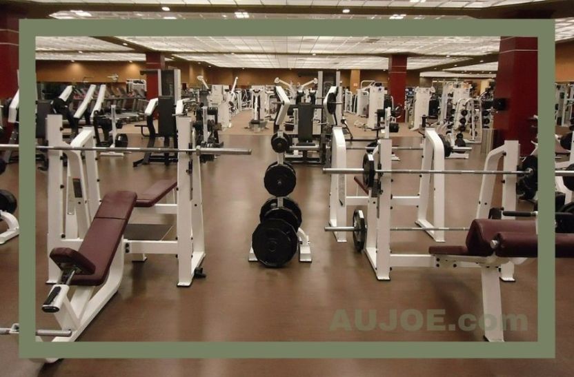 5 Steps to Start a Fitness Program for the First Time: Beginner Friendly Guide