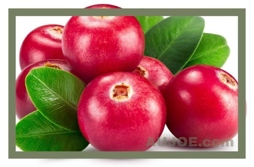 My 5 Favorite Healthy Holiday Foods