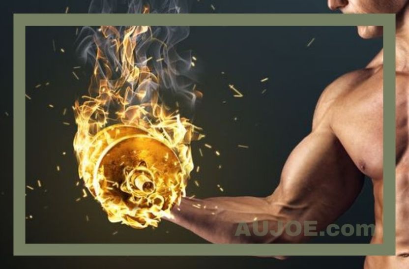 A New Understanding of the Basics for Building Muscle